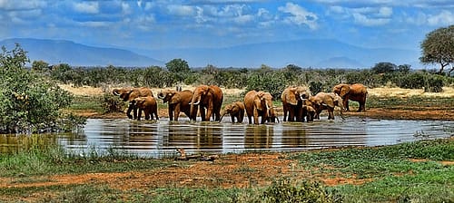 Tour Sud Africa & Mauritius: Il mondo in un solo Viaggio