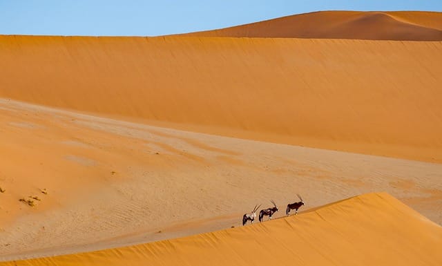 Gran Tour Namibia